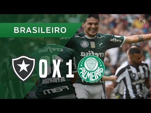 BOTAFOGO 0 X 1 PALMEIRAS - GOL - 25/05 - BRASILEIRÃO 2019