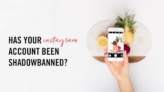 Has Your Instagram Account Been Shadow Banned?