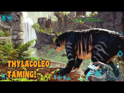 Ark Mobile Max Level Thylacoleo Trapping & Taming | Thylacoleo Ability | Ark Ultimate Mobile Edition