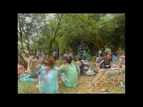 No Name Forest II - agosto de 2012  -Non stop  -Sychoplasm