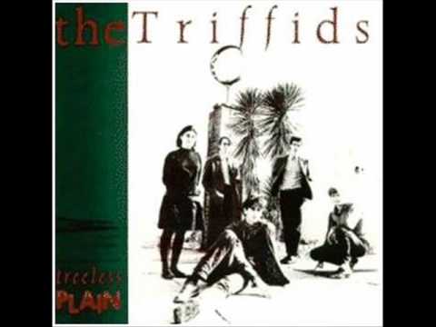 The Triffids - My Baby Thinks She's a Train
