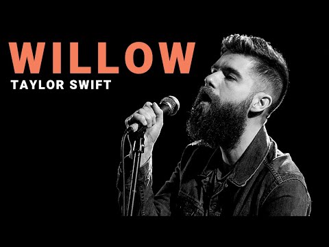 willow - Taylor Swift | Cover by Josh Rabenold