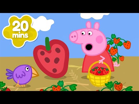 Peppa Finds a GIANT STRAWBERRY 🍓 Pick Your Own Fruit! 🍇 Peppa Pig Full Summer Episodes | 20 Minutes