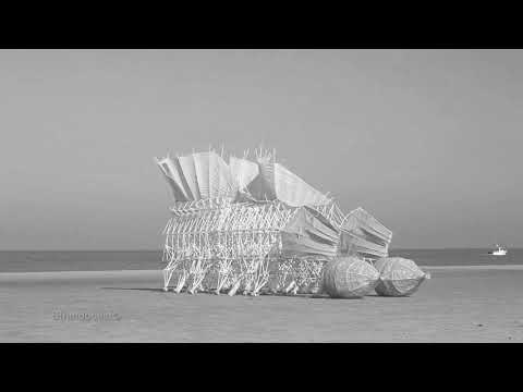 Strandbeest Evolution 2020