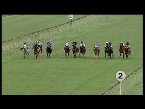 20190130 Scottsville express clip Race 8 Objection