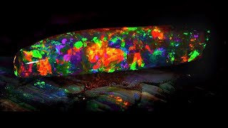 Download lagu Top 10 | Most Expensive and Beautiful Opals in the World mp3 Download lagu Top 10 | Most Expensive and Beautiful Opals in the World mp3