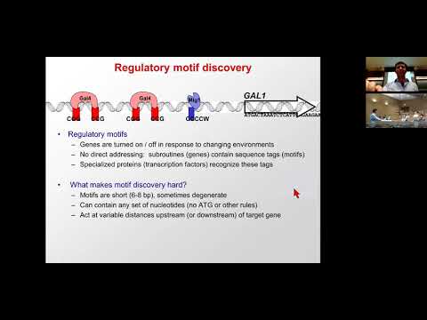 MIT CompBio Lecture 10 - Regulatory Genomics