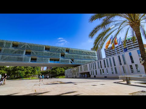 Video - Pleno Extraordinario nº 11/2026