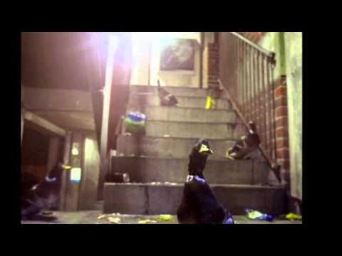 Bingo Players ft. Far East Movement - Get Up