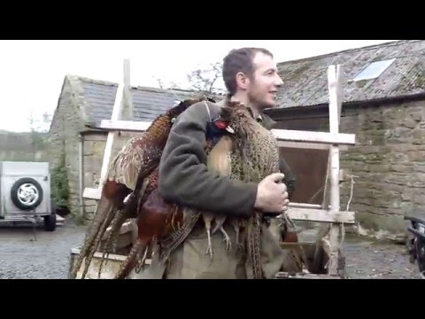 Penshaw ratters beating day