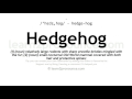 Hedgehog pronunciation and definition