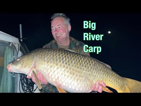 Two Big River Carp 🎣