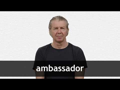 AMBASSADOR definition in American English