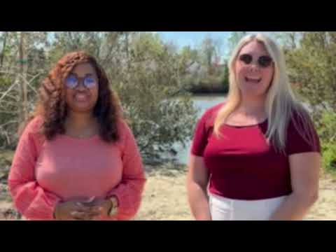 Video of Rollingbrook Villas 55 Plus Community