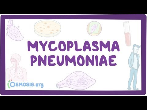 mycoplasma szemölcsök