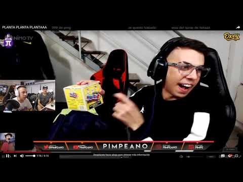 PIMPEANO REACCIONA A NIBN - PLANTA PLANTA PLANTAAA