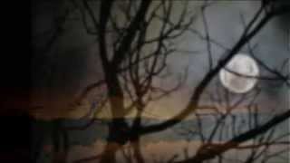 Waiting On The Night To Fall - Casting Crowns - Heather and Jerome