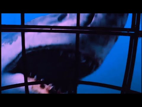 The Biggest Carnivorous Fish - Walking With Dinosaurs: Sea Monsters OST (Slowed)