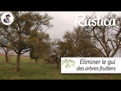 comment traiter le gui