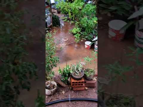 a chuva chegou no sertão Pernambucano na região de CARNAUBEIRA DA PENHA.