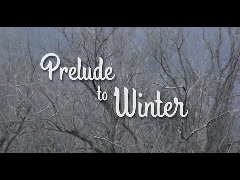 Prelude To Winter (FULL HD)