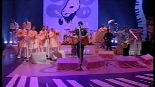 Super Furry Animals - Northern Lites (live on Later)