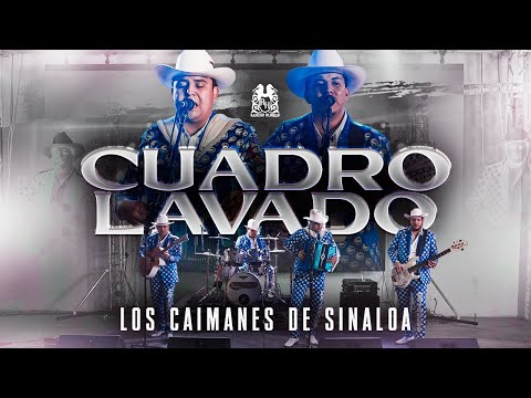 Los Caimanes De Sinaloa - Cuadro Lavado [Official Video]