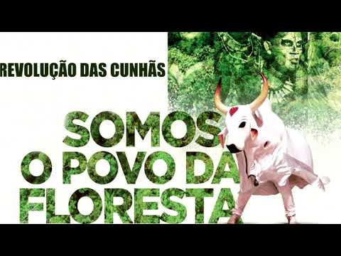 REVOLUÇÃO DAS CUNHÃS - BOI GARANTIDO 2020 (DEMO)