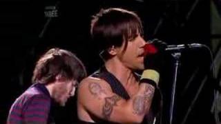 Red Hot Chili Peppers at Reading Festival - C&#39;mon Girl
