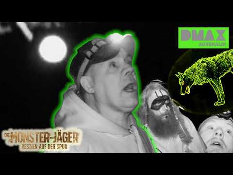 Mission Monster: DIE MUTIGSTEN MOMENTE 😱 | Die Monsterjäger - Bestien auf der Spur  | DMAX Adrenalin