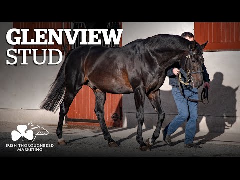 ITM Irish Stallion Showcase 2021 - Glenview Stud