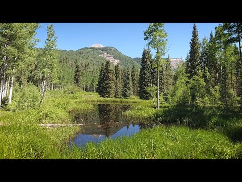 Private Mountain Escape FOR SALE in Durango, Colorado