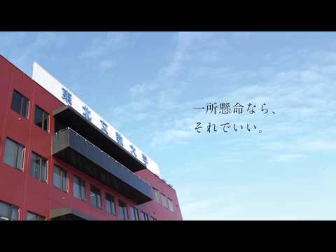 子ども教育学科 2015年 東北文教大学 夏のオープンキャンパス