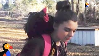 Rooster Meets His Favorite Girl at Her Bus Stop Every Day | The Dodo