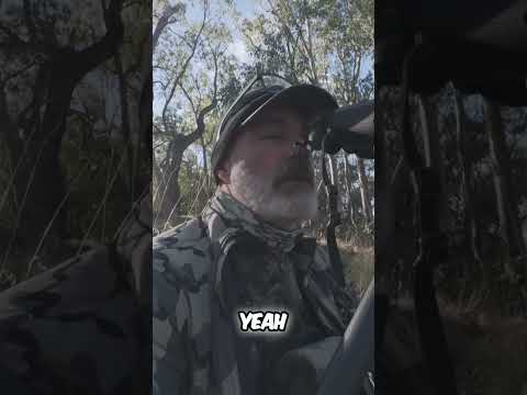 Things could of turned really bad quick #hunting #adventure #mountains #sambar #backcountryhunting