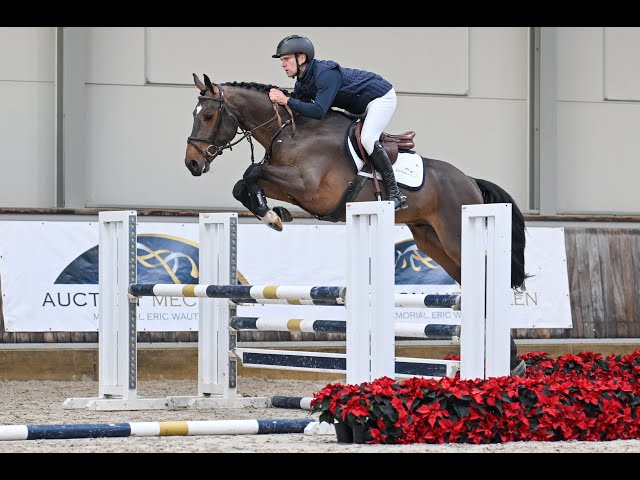 Wijzen Odiel d'Hulsterlo - Ridden