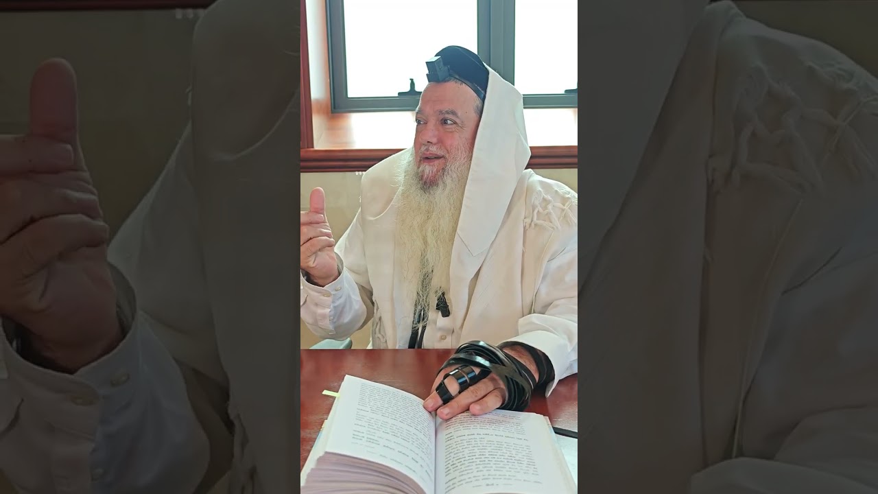 שער הביטחון | סבב שני - פרק 153