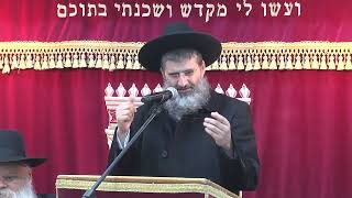 עולם הזה או עולם הבא | הרב אופיר טנג'י