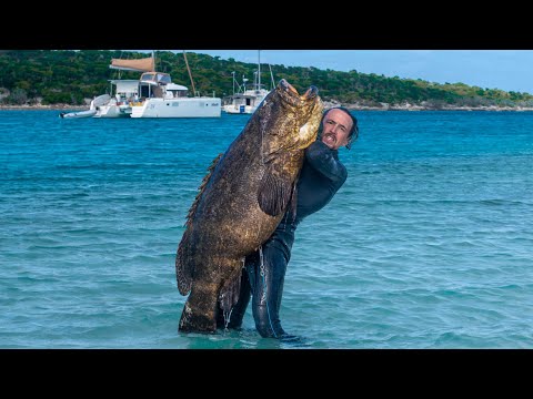 Spearfish 100lbs+ Goliath Grouper! [Solo Freedive Polespear] -- (Day 43/100 Water World Challenge)