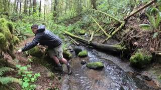 Measuring turbidity, pH, temperature & dissolved oxygen for water quality for salmonids