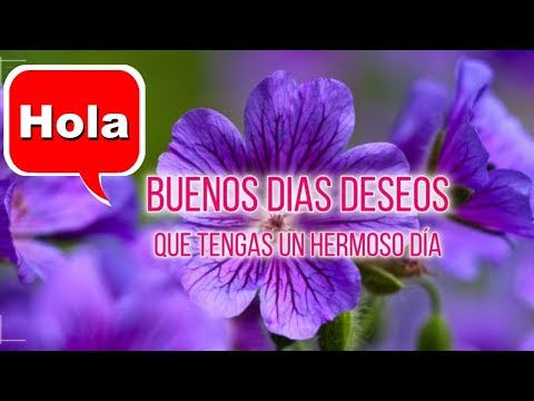 Spanish Good Morning Gif Image Video