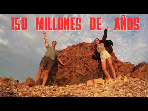 ÁRBOLES DE 150 MILLONES DE AÑOS | BOSQUE PETRIFICADO DE JARAMILLO