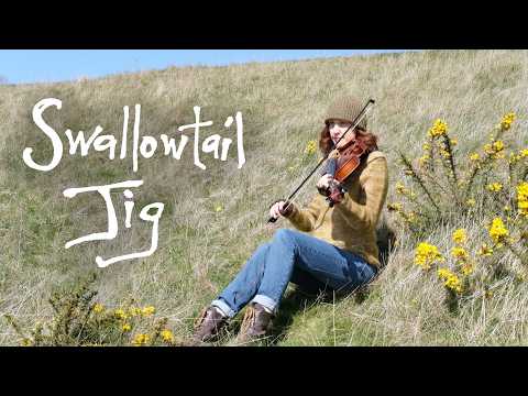 Swallowtail Jig – Irish traditional folk fiddle tune on viola
