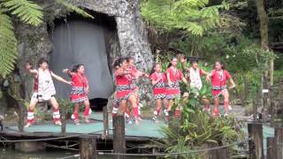 preview picture of video 'Tayal Dance （タイヤル族の踊り）　U-lâi 烏來 Taiwan 臺灣（台湾）'