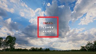 Purina — Planting Hope: Purina Sustainability & Community Support