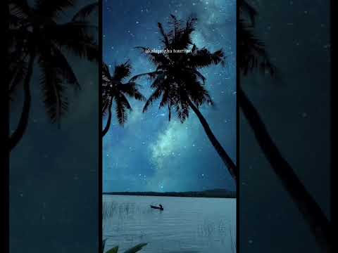 Akalapuzha Backwater Shikara Cruise Highlights