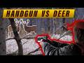 Handguns VS Deer KILL SHOT Compilation