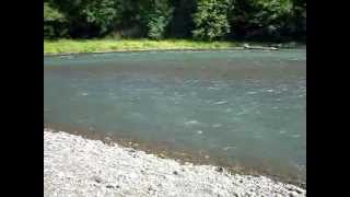 preview picture of video 'Nisqually river'
