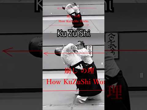 WOW!合氣 | 崩しの理 : Kuzushi | 正面当て天地投げ How It Works #合気道 #aikido #武道 #budo #martialarts #selfdefense