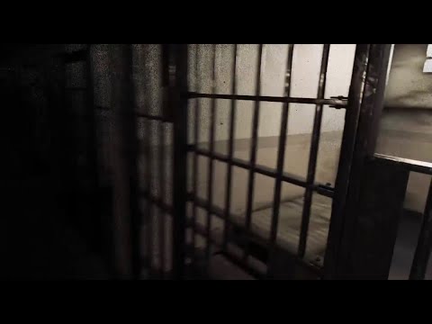 Video thumbnail for Many Apologies